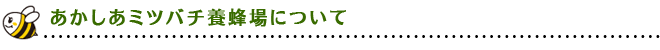 あかしあミツバチ養蜂場について