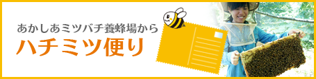 ハチミツ便り